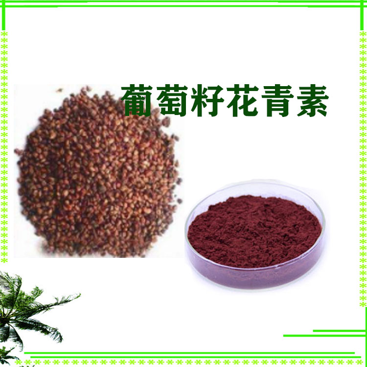 葡萄籽原花青素 95% 葡萄籽提取物 速溶粉 大量库存