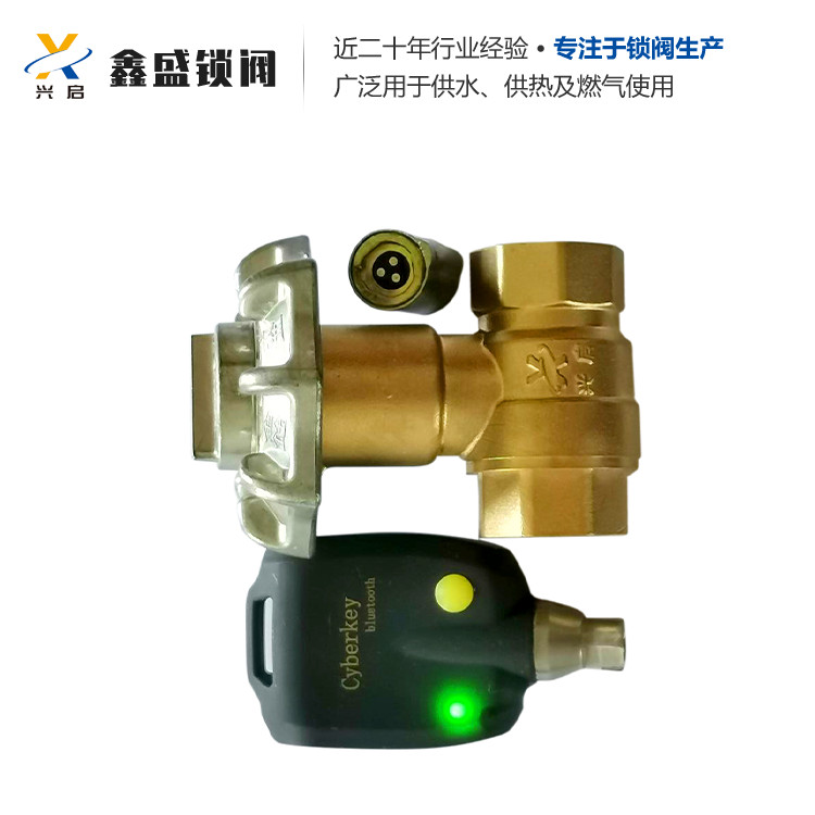 电子锁闭阀 暖气智能锁闭阀 丹东鑫盛锁阀