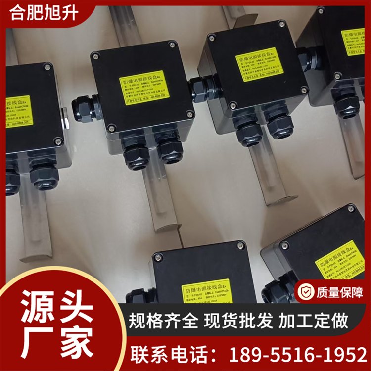 防爆电源接线盒 伴热电缆分线盒 防摔防水 支持定制