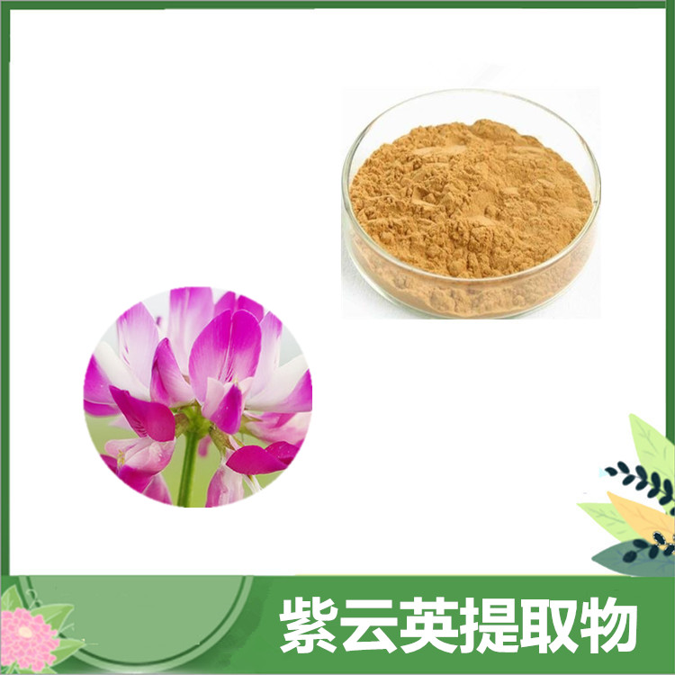 紫云英提取物 30:1/50:1比例红花草、苕子菜萃取 紫云英浓缩粉 可发样