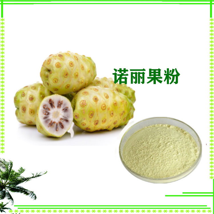 诺丽果粉 提取物 诺丽果速溶粉 喷雾干燥粉  质量稳定 可寄样