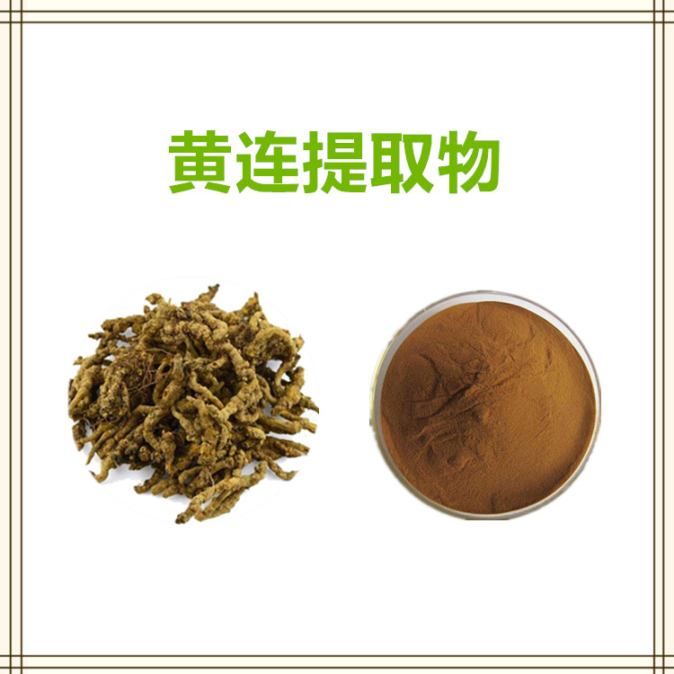 沃特莱斯生物 黄连提取物 萃取粉 喷雾干燥粉 全水溶 1公斤起订