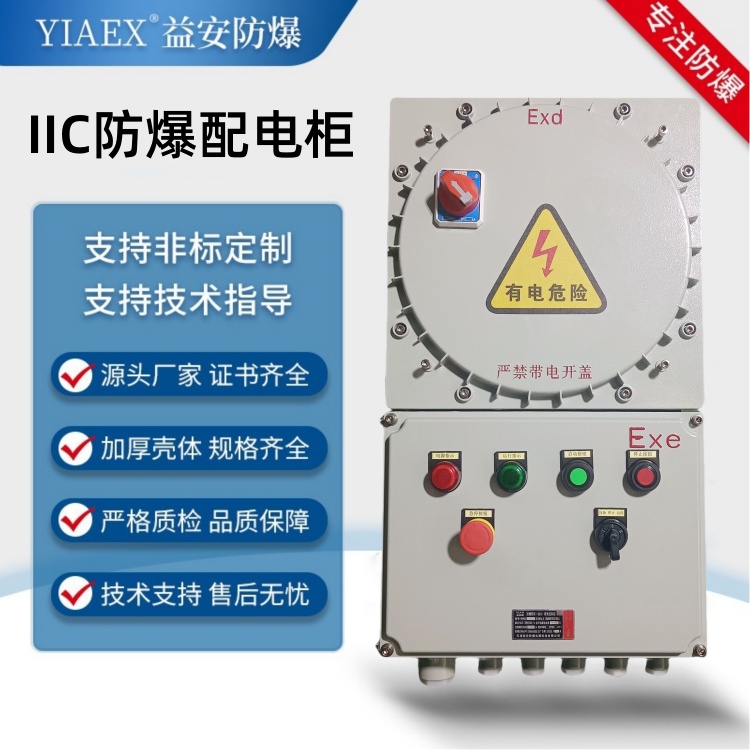 IIC防爆配电箱 防爆动力配电箱