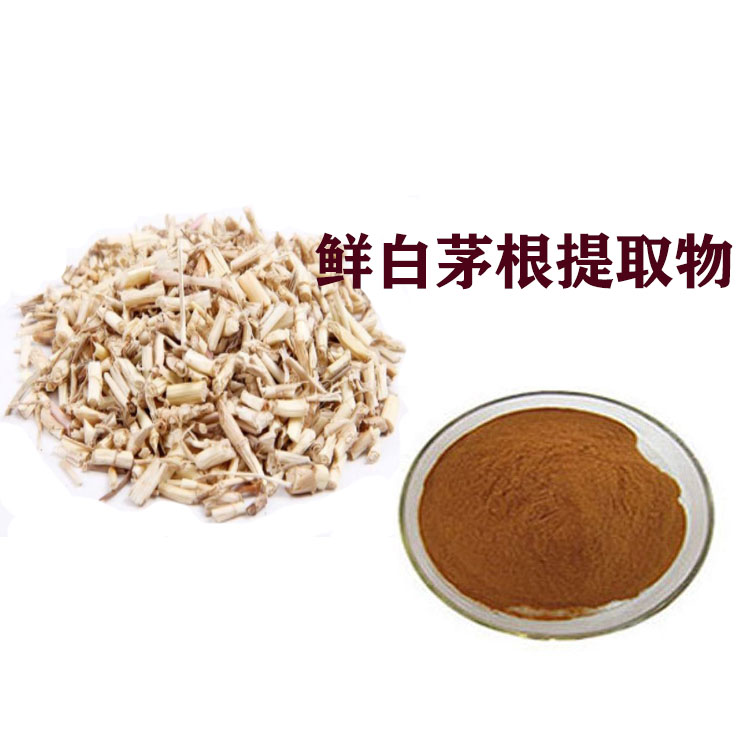 鲜白茅根提取物 浸膏粉 萃取粉 质量稳定 可寄样