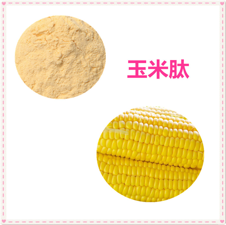 玉米肽 80%玉米低聚肽 小分子苞谷多肽 可水溶现货 玉米肽原料粉 可发样