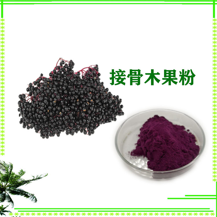 接骨木果粉 接骨木提取物 速溶粉 质量稳定 库存充足