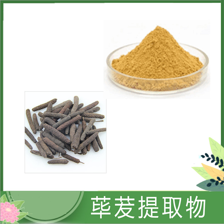 荜茇提取物 30:1/50:1比例荜茇粉 SC植提荜拔/鼠尾浸膏粉 可水溶 一公斤发样