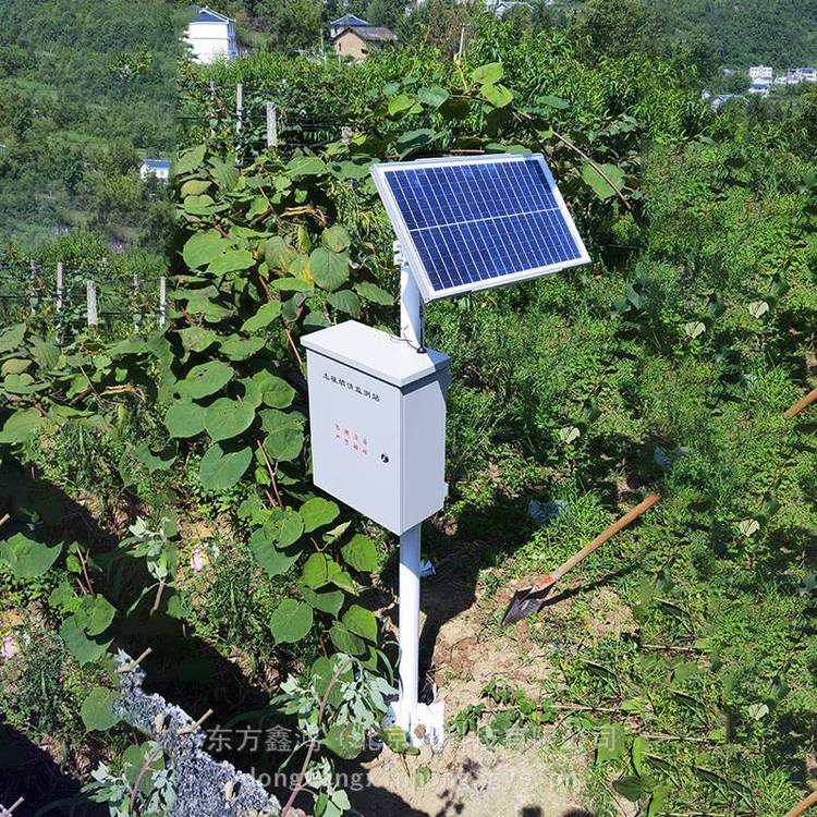 土壤含水量监测系统 土壤温湿度测量 东方鑫鸿 DF-TSW 可存储 分析数据