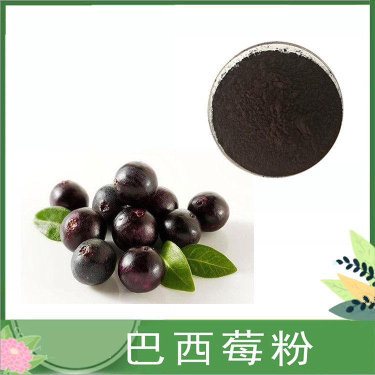 巴西莓粉 喷雾干燥 巴西莓/阿萨伊莓速溶粉原料 巴西莓浓缩汁 沃特莱斯订做