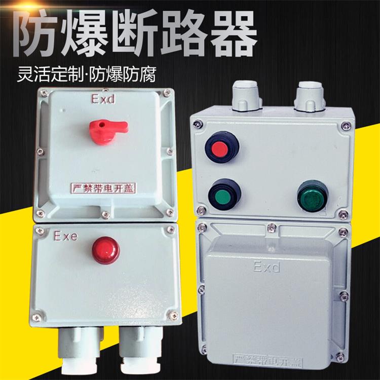 防爆磁力启动器电磁起动配电箱配电柜电动机直起动力控制箱