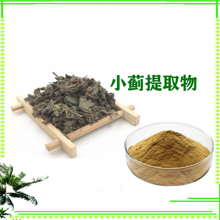 小蓟粉 提取物 浸膏粉 喷雾干燥粉 质量稳定 库存充足