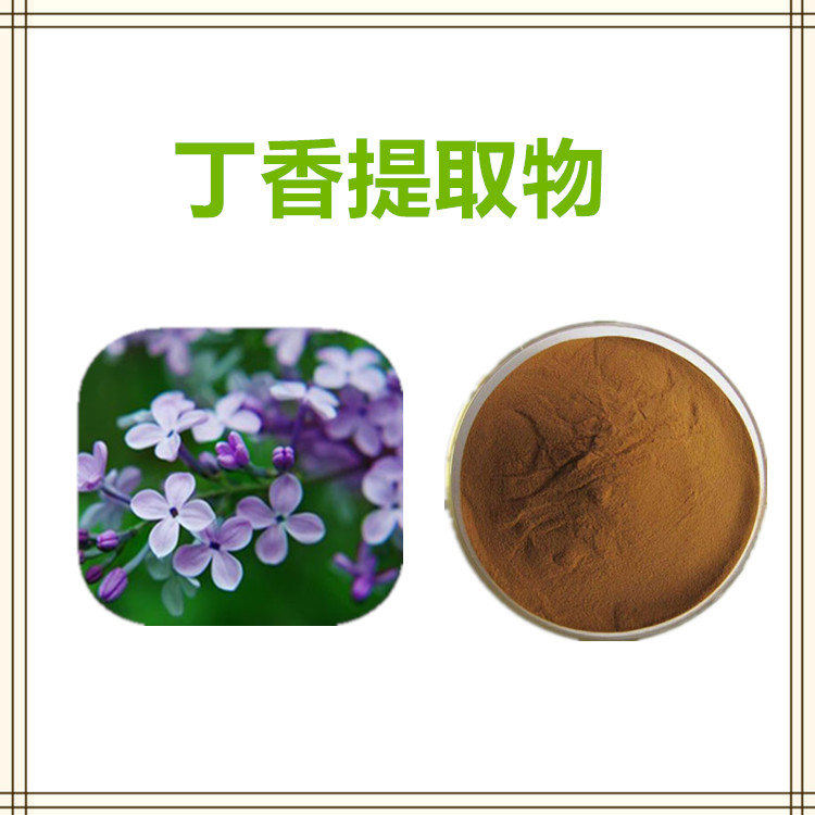 沃特莱斯生物 丁香提取物 萃取粉 喷雾干燥粉 1kg起订