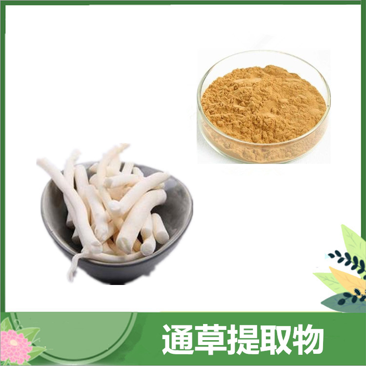 沃特莱斯供应 通草提取物 10:1规格小通草浓缩粉 水溶性 大通草浸膏粉 量大价优