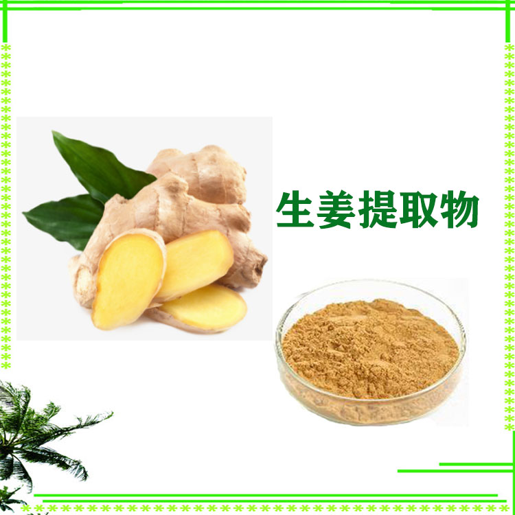 生姜提取物 速溶粉 提取物 喷雾干燥粉 粉末细腻质量稳定