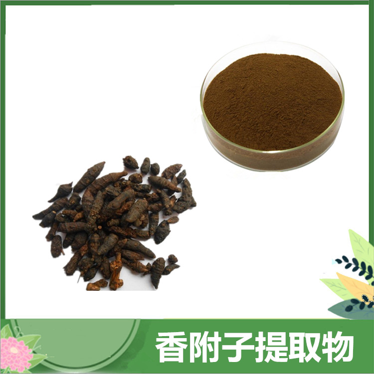 香附子粉 10:1香附子、雷公头提取物 植提香附子根茎原料 多规格订做