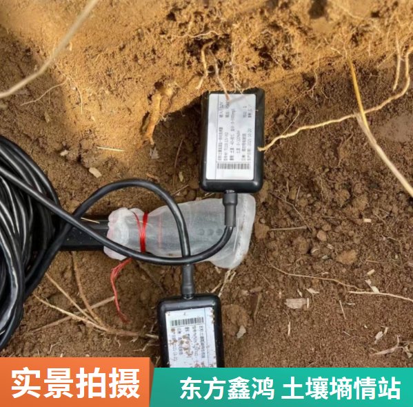 土壤墒情自动监测系统 DF-TSQ 东方鑫鸿 水分温度 太阳能供电 4G无线