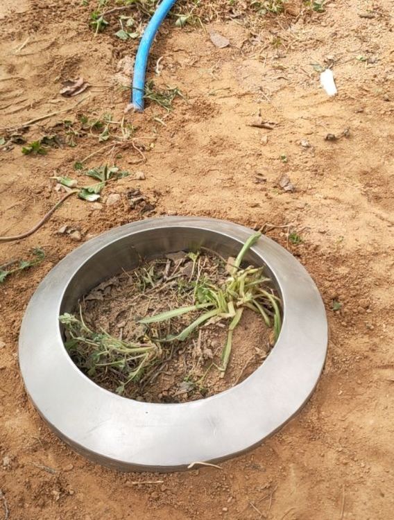 科研土壤蒸渗仪 东方鑫鸿 DF-5060 土壤蒸发 温湿度盐分 渗漏 4G传输
