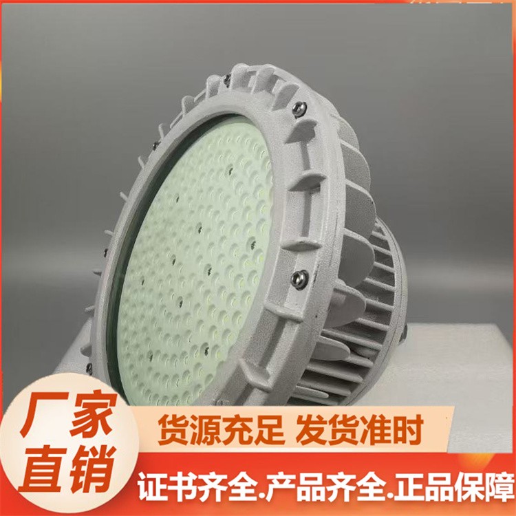 LED防爆灯  化工厂车间节能 支持定制