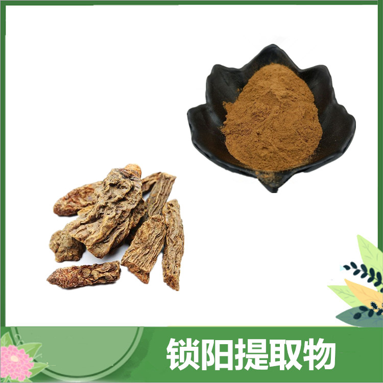 锁阳提取物 50:1/30:1比例浓缩锁阳粉 沙漠锁阳植物原料萃取水溶 锁阳生物碱