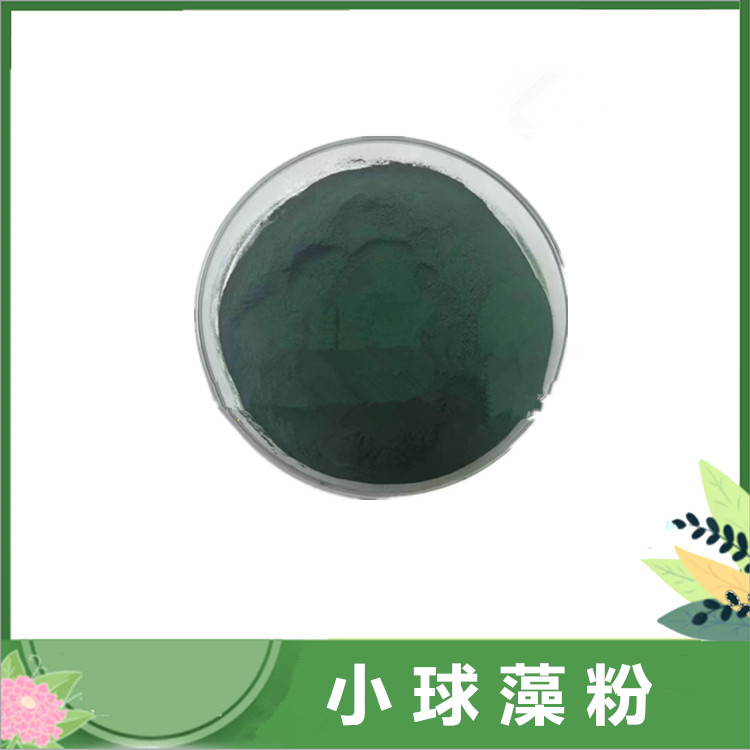 小球藻粉 蛋白核小球藻粉 破壁小球藻原料粉 现货 绿藻粉 可发样