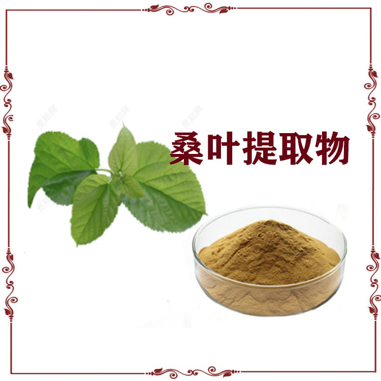 桑叶提取物 速溶粉 桑叶黄酮 喷雾干燥粉 水溶性好 质量稳定