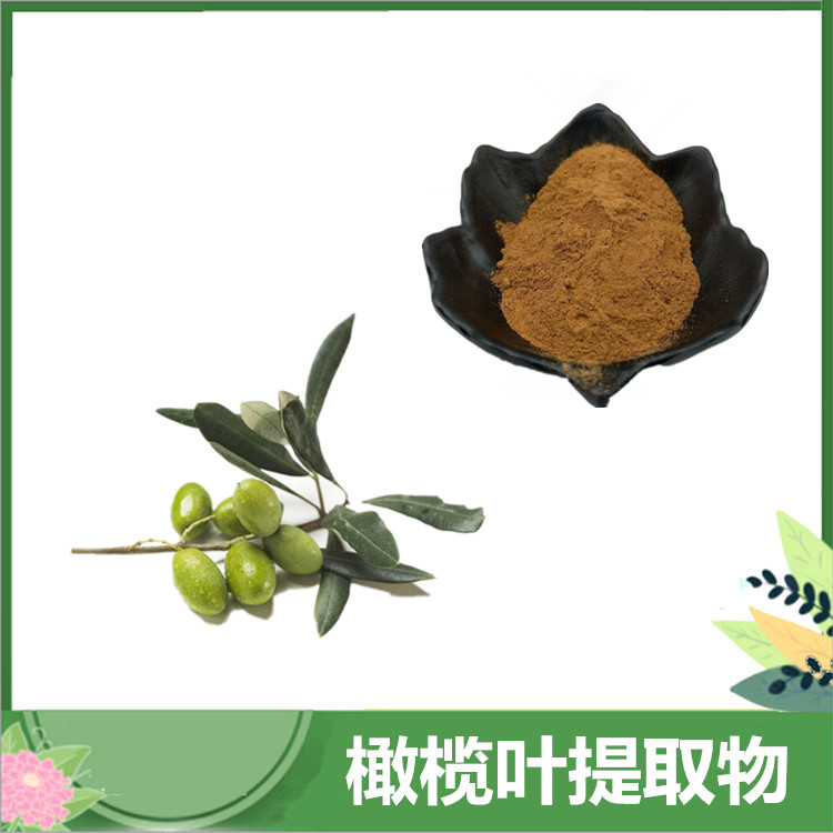 橄榄叶提取物 30:1/50:1比例橄榄叶粉 /橄榄叶苦甙 水溶 羟基酪醇 包邮