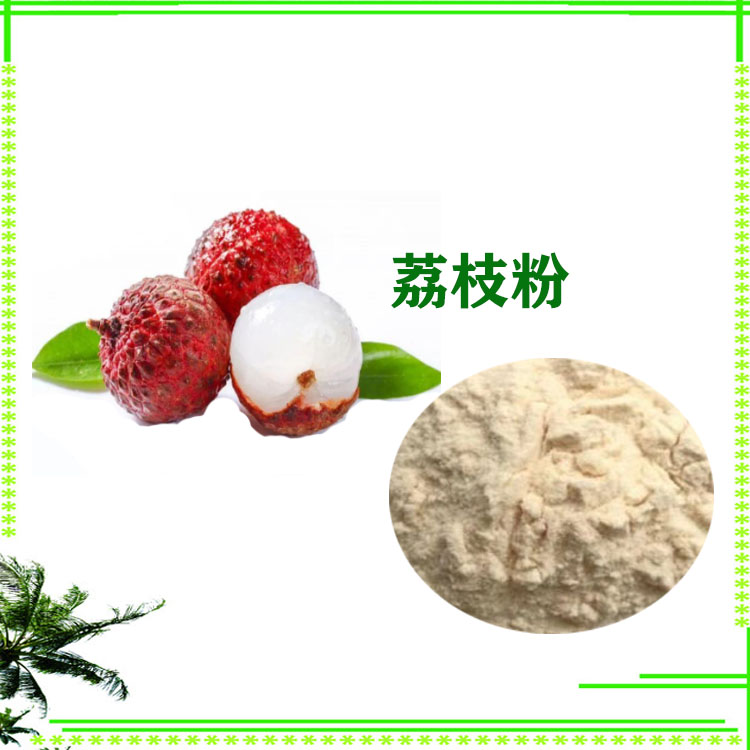 荔枝粉 速溶粉 荔枝提取物 120目精细粉末 质量稳定