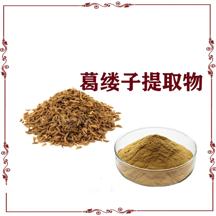 葛缕子提取物 喷雾干燥粉 速溶粉 库存充足 质量稳定