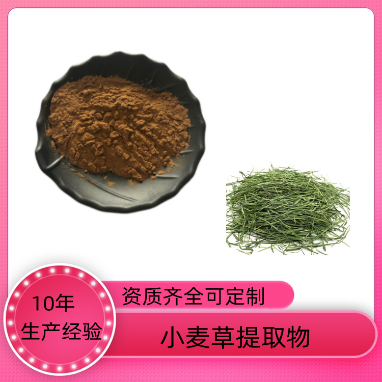 小麦草提取物 速溶粉 浓缩干燥 10：1 20：1可定制 沃特莱斯生物