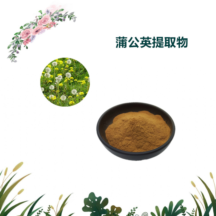 沃特莱斯生物 蒲公英提取物 蒲公英黄酮 药食同源 多规格订制
