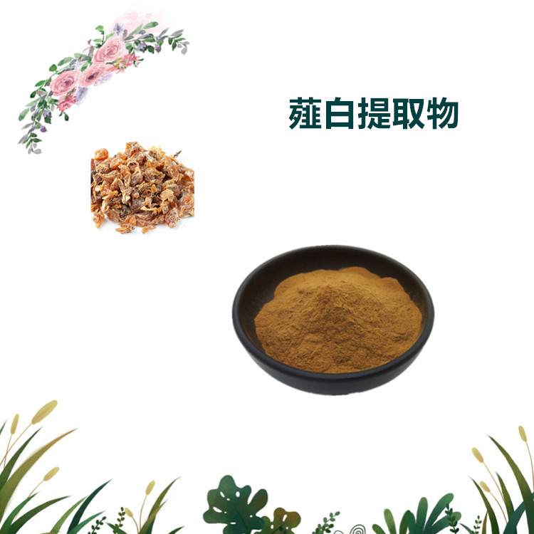 沃特莱斯生物 薤白提取物 萃取粉 喷雾干燥粉 1公斤起订 可寄样