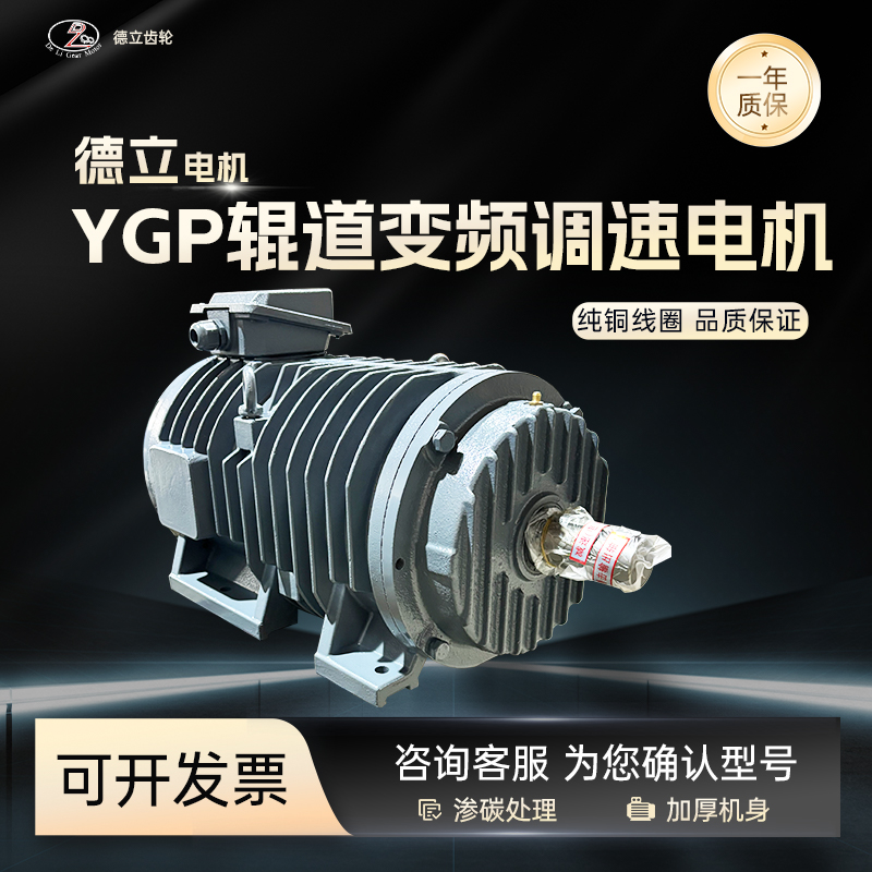 YGa/YGb辊道专用电动机辊道变频调速三相电动机辊道耐高温电机轧钢辊道电机
