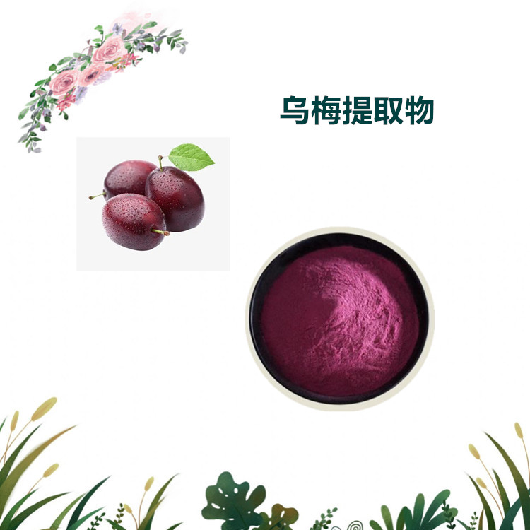 沃特莱斯生物 乌梅提取物 水溶性粉末 原粉 1公斤起订 可寄样