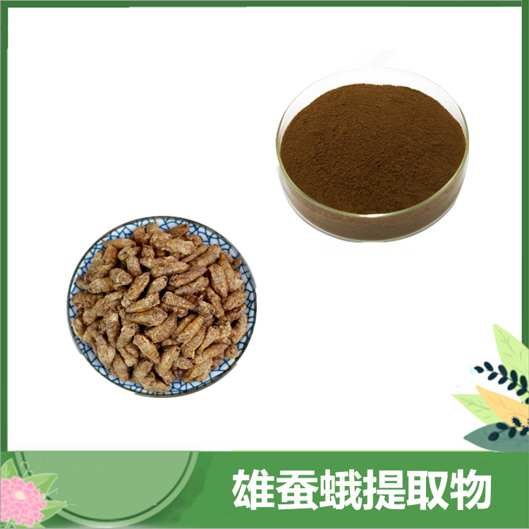 雄蚕蛾提取物 30:1、50:1比例雄蚕蛾萃取 氨基酸 雄蚕蛾浓缩粉 一公斤发样