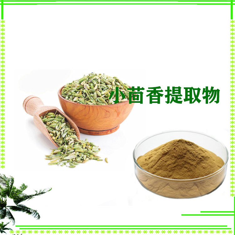 小茴香提取物 速溶粉 浸膏粉 萃取粉 120目精细粉末 大量库存