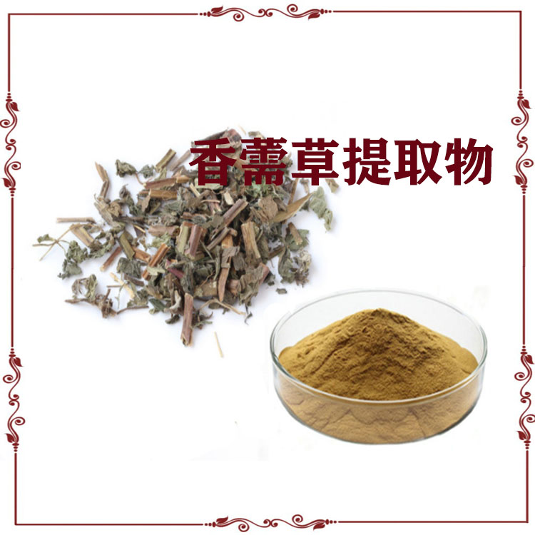 香薷提取物 速溶粉 浸膏粉 萃取粉 多种规格 可定制