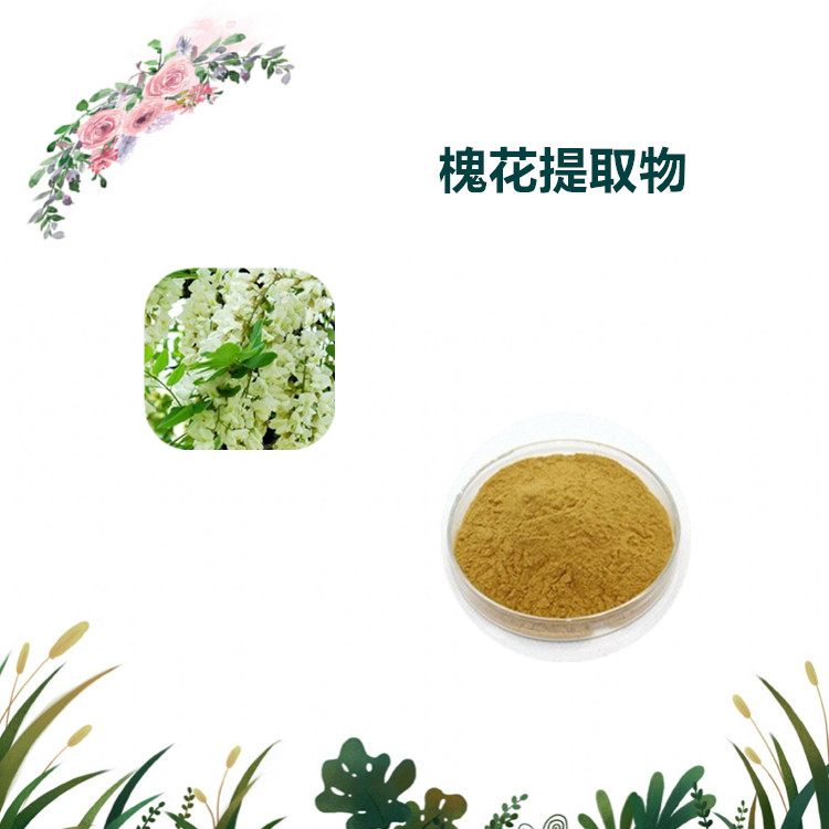 沃特莱斯生物 槐花提取物 浸膏粉 喷雾干燥粉 1公斤起订 可寄样