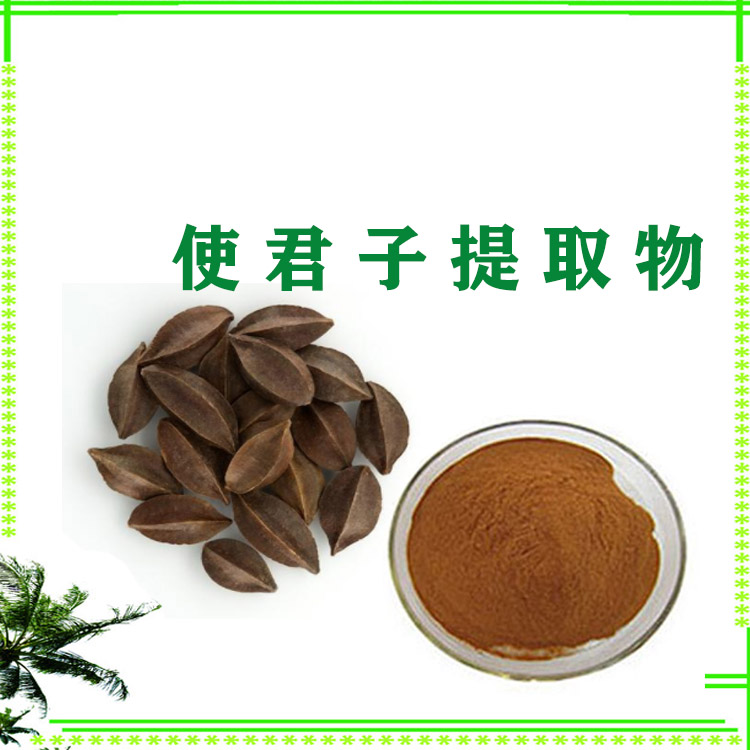 使君子提取物 萃取粉 喷雾干燥粉 120目精细粉末 质量稳定