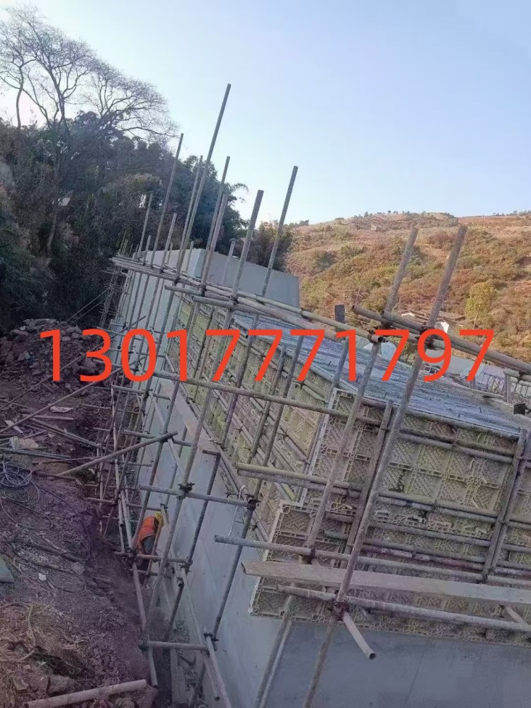 挡墙模板，挡土墙模板厂家直供选通程塑业