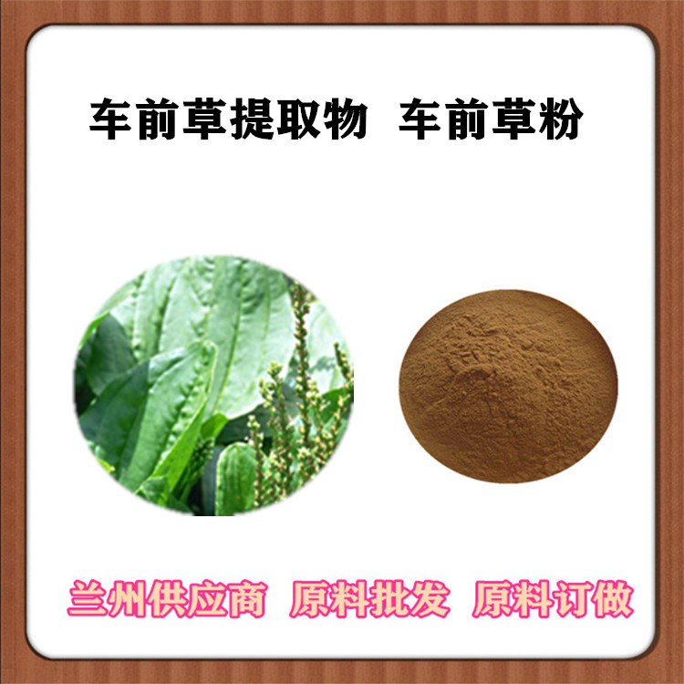车前草浸膏粉 车前草提取物20:1 比例萃取物 订做提取液浓缩汁 SC厂家
