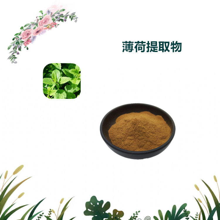 沃特莱斯生物 薄荷提取物 速溶粉 喷雾干燥粉 1公斤起订 可寄样
