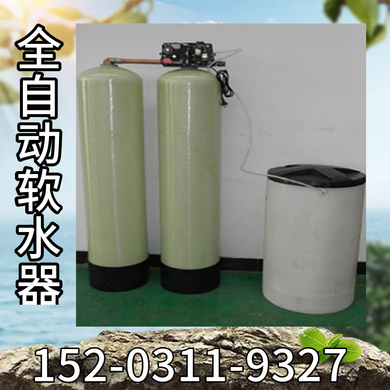 钠离子交换器 全自动软水器 空调补水软化水设备许昌