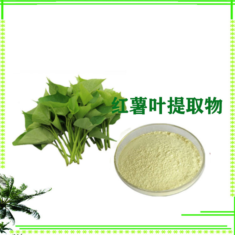 红薯叶提取物 速溶粉 原粉 120目精细粉末 质量稳定
