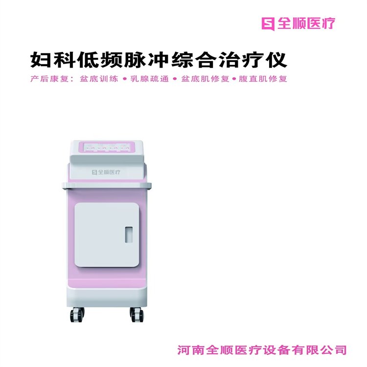 厂家产后盆底康复治疗仪 低频电子脉冲治疗仪盆底肌治疗仪