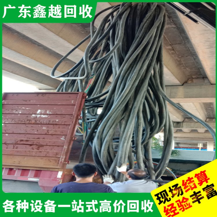 回收电缆公司 环保无害 现场结算 工厂设备回 收