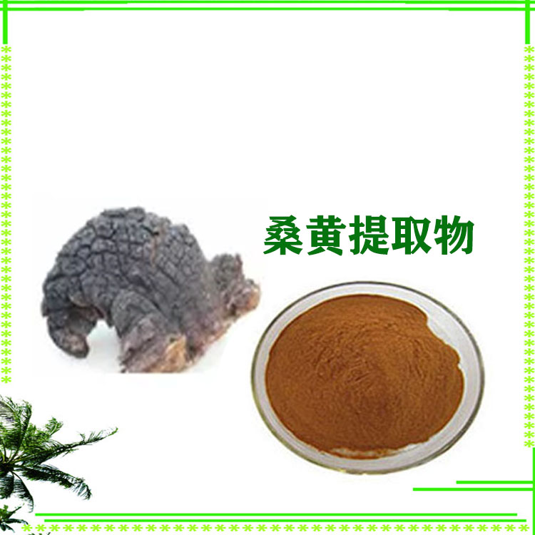 桑黄提取物 黄酮 浸膏粉 萃取粉 多种规格 库存充足