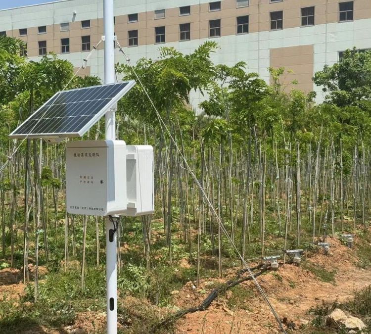 植物茎流测量仪 树干液流监测系统 东方鑫鸿 DF-SG12 可存储下载 无线