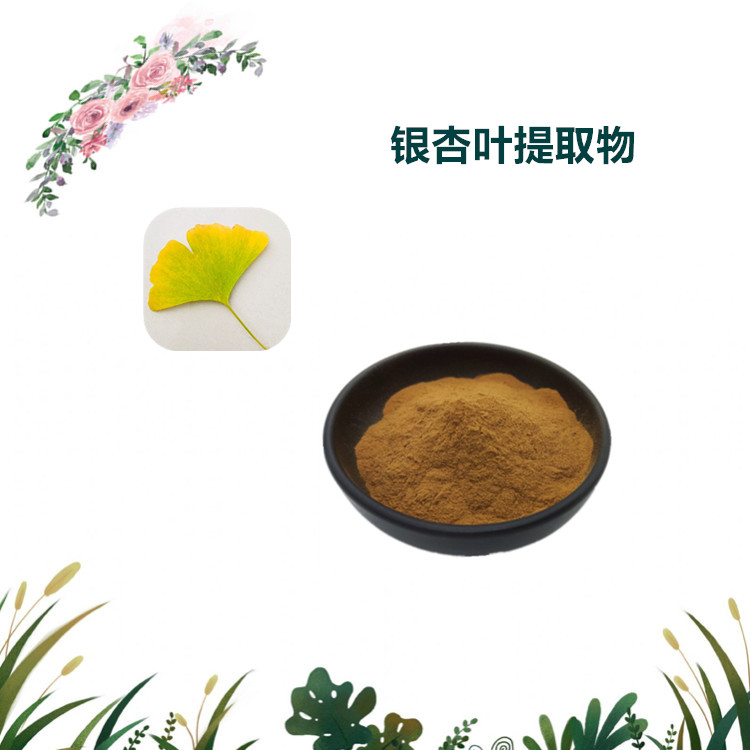 沃特莱斯生物 银杏叶提取物 萃取粉 速溶粉 1公斤起订 可寄样