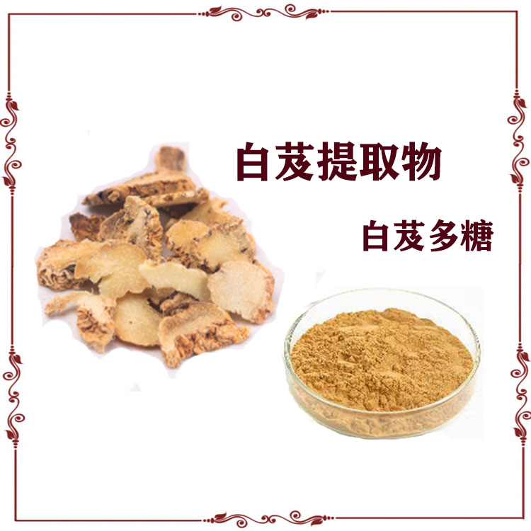 白芨提取物 白芨多糖 萃取粉 120目精细粉末 水溶性好