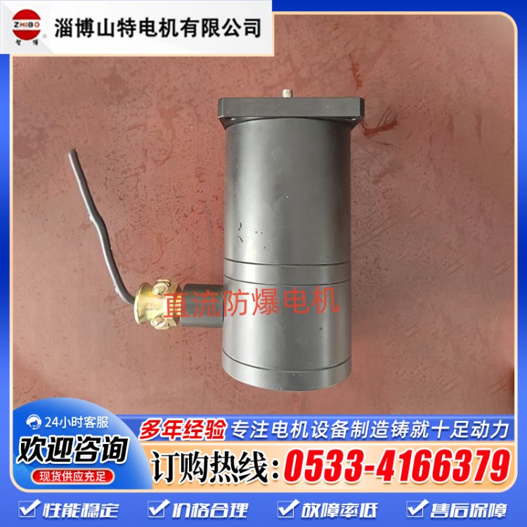 山特工业级直流防爆电机专用款